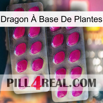 Dragon À Base De Plantes 10